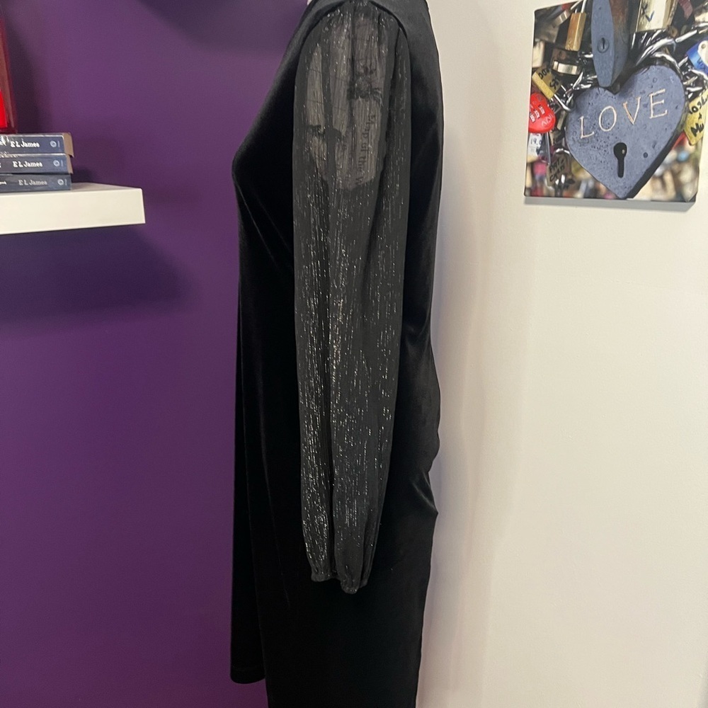 Connected Apparel Sheer Long Sleeve Velvety Dress - Picture 6 of 10